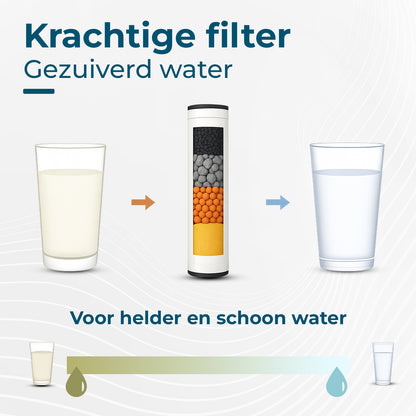 AKSA Home Douchekop met Slang - Zilver